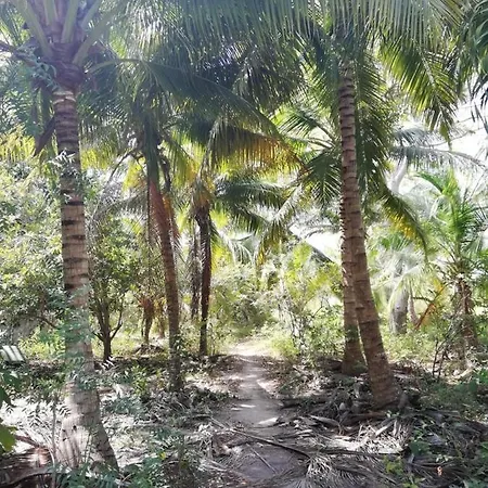 Playa Dormida